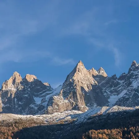 Portes Du Brevent -1 Bedroom With Magnificient Mont Blanc Views Appartement *